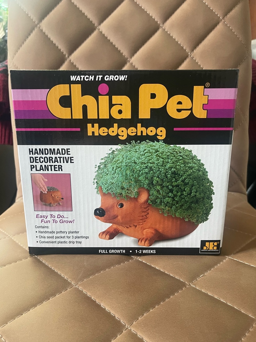 Chia Pet Hedgehog Planter - Green "Hair"